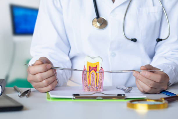 Best Emergency Tooth Extraction in Woodacre, CA